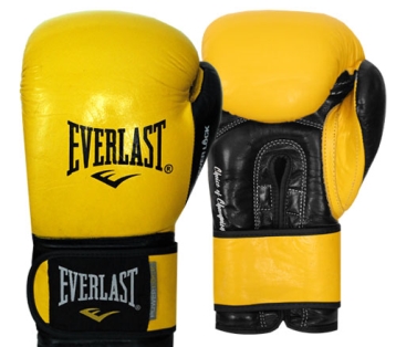 دستکش بوکس چرم EVERLAST